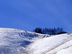 雪中写真 第一辑_8