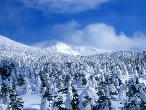 雪中写真 第一辑_9