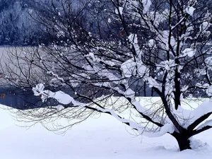 雪中写真 第一辑_10