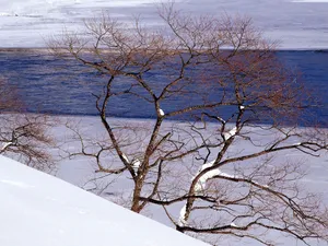 雪中写真 第一辑_13