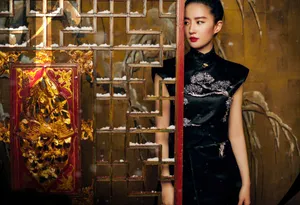 刘亦菲东方古典风新写真图片_4