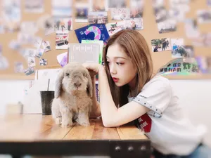 希林娜依·高清新甜美图片