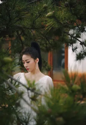 陈紫函深V白裙性感写真图片_9