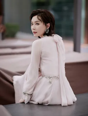 陈数粉色刺绣长裙性感图片写真_5
