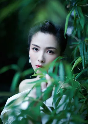 刘涛优雅性感写真图片_2