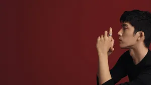 井柏然刘雯香奈儿代言大片图片