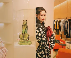 徐艺洋复古连衣裙清新性感图片_4