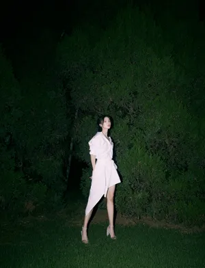 金晨衬衫裙优雅写真图片