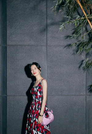 刘敏涛印花裙性感写真图片