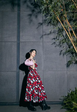 刘敏涛印花裙性感写真图片_3
