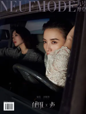 宋佳刘敏涛时尚大片写真图片