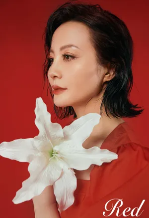 陶虹优雅知性写真图片_5