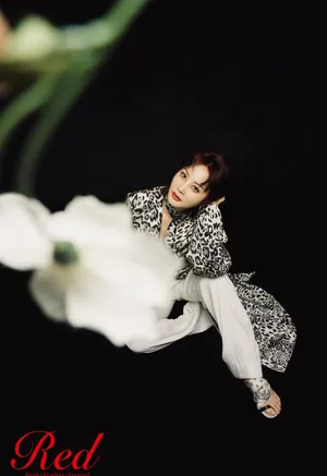 陶虹优雅知性写真图片_12