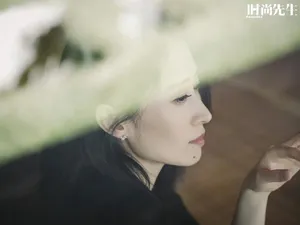 刘敏涛优雅魅力写真图片