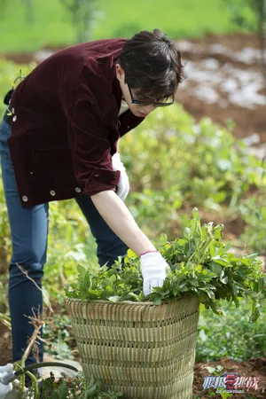 邓伦《极限挑战》宝藏行剧照图片第10张