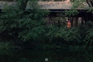 聂远早秋休闲森林大片写真图片_7