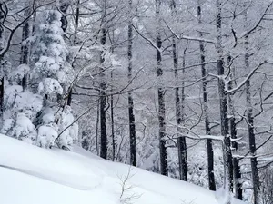 雪中写真 第一辑_17