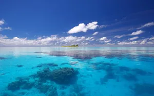 Islands离岛 第二辑_5