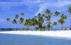 Islands离岛 第一辑_10