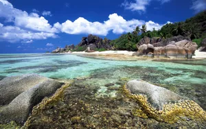 Islands离岛 第一辑_18