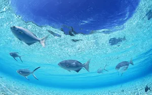 海空水蓝 第四辑_2