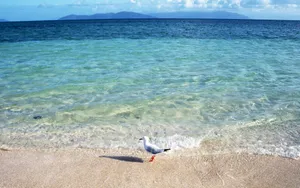 海空水蓝 第四辑_4