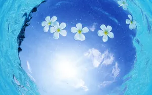 海空水蓝 第四辑_10
