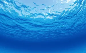 海空水蓝 第四辑_15