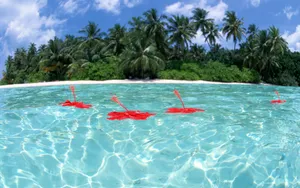 海空水蓝 第三辑_9