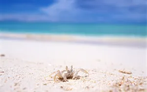 海空水蓝 第三辑_10