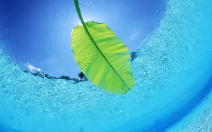 海空水蓝 第三辑_11