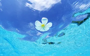 海空水蓝 第三辑_14