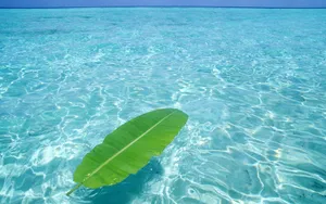 海空水蓝 第三辑_16