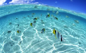 海空水蓝 第三辑_18