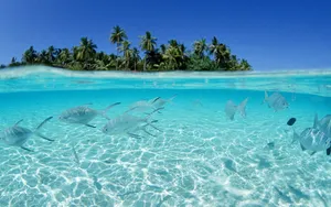 海空水蓝 第二辑_13