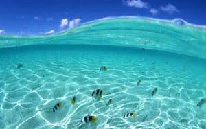 海空水蓝 第二辑_18