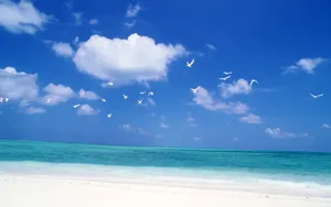 海空水蓝 第一辑_2