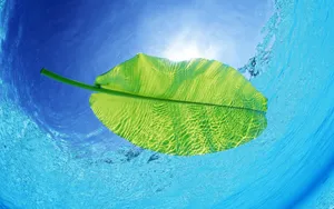海空水蓝 第一辑_12