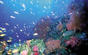 海边写真 第四辑_2