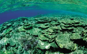 海边写真 第四辑_7
