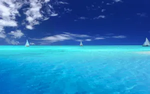 海边写真 第三辑_4