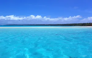 海边写真 第三辑_5