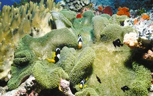 海边写真 第三辑_10