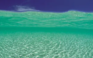 海边写真 第三辑_13
