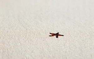 海边写真 第三辑_15