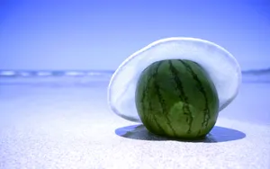 海边写真 第二辑_11