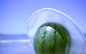 海边写真 第一辑_4