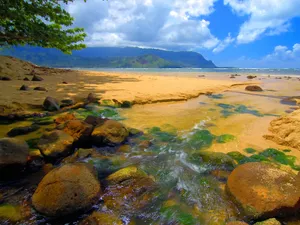 夏威夷海滨 第一辑