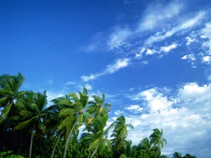 海滨风光 第二辑_4