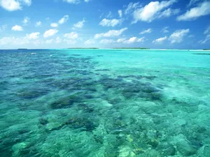海滨风光 第一辑_14